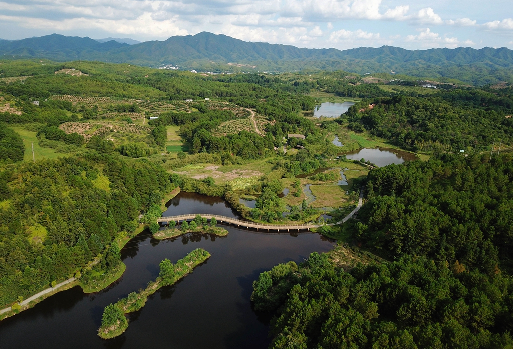 福建省龍巖市長汀縣的長汀汀江國家濕地公園景色（2020年7月28日攝，無人機照片）。新華社記者 魏培全 攝